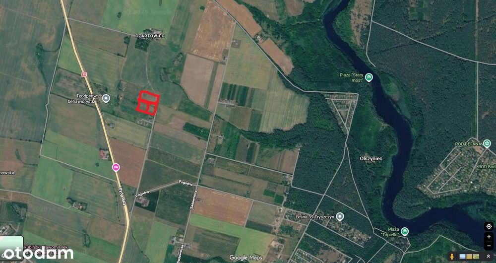 Sprzedaż działek budowlanych – Tryszczyn k. Bydgoszczy - Widok 2
