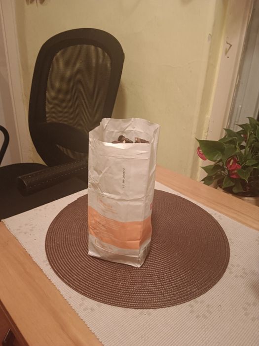 Grzyby suszone i marynowane