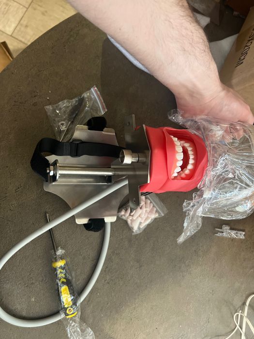 Стоматологічний фантом, голова та зуби..