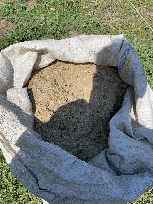 Продам сіно луцерки в тюках