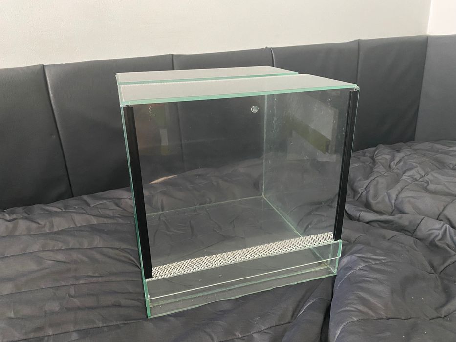 Terrarium, kostka