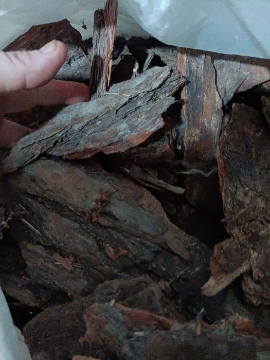 Кора декор мешок сахарний