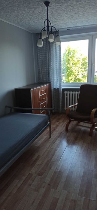 Zdjęcie 7