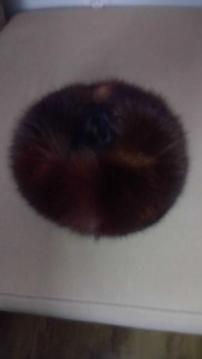 Toczek z lisa w kolorze brązowym. Okazja !