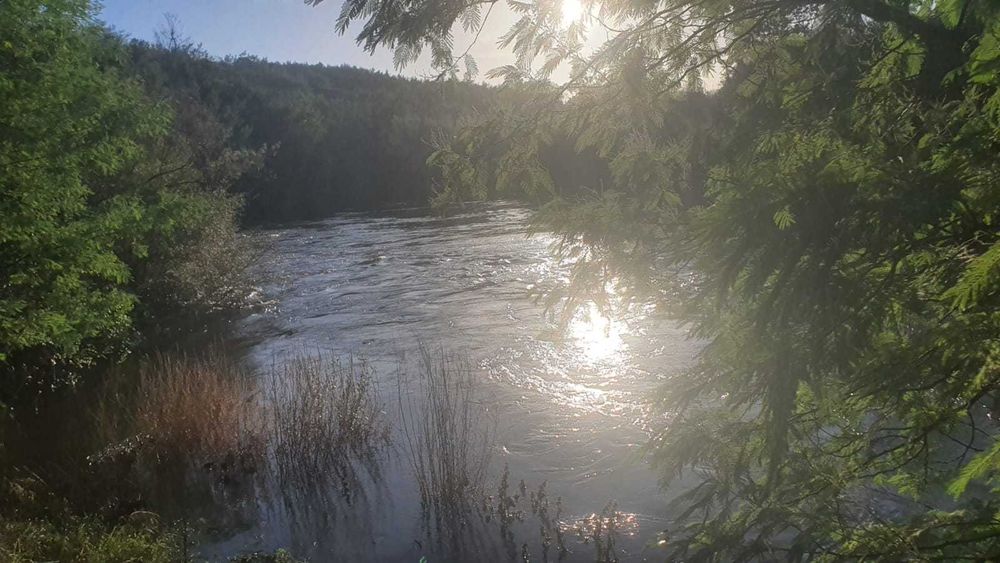 Propriedade com 6ha à Beira do Rio Mondego