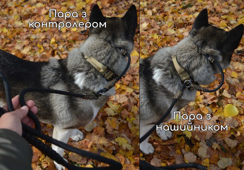 Новинка! Повідок контролер Dogspotter Gen.II Роздільна система 10мм