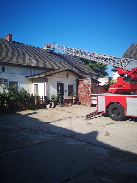 Wycinka i pielęgnacja drzew i inne prace przy użyciu ciężkiego sprzętu