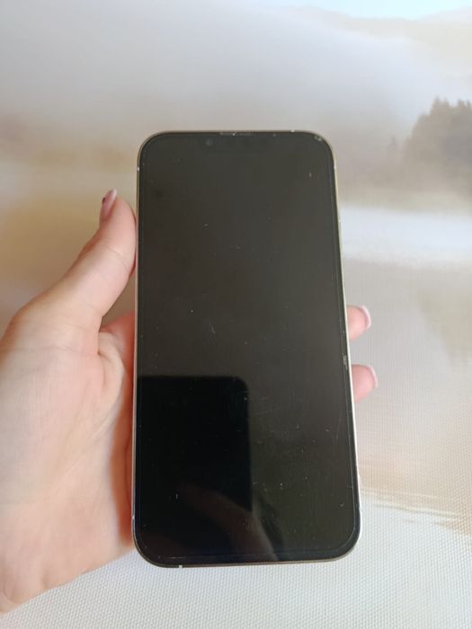 iPhone 13 pro 256gb