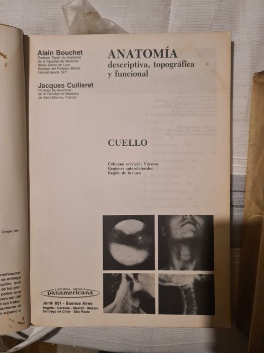 Anotomia Humana Tronco-Membros -Sistema Nervoso Central