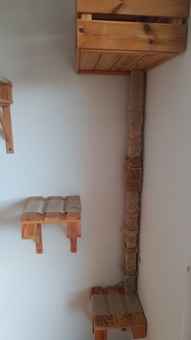 Drapak dla kota, tor przeszkód