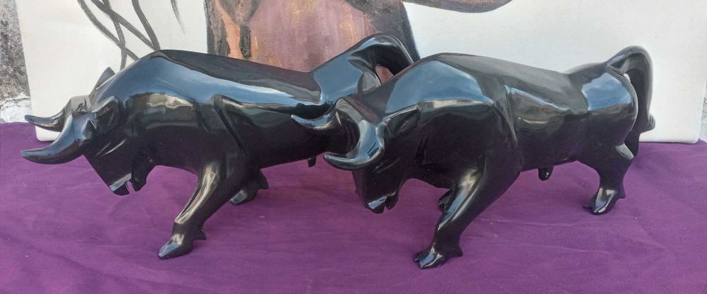 Par de touros em Marmore