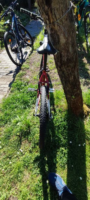 Rower Arkus 18 romet