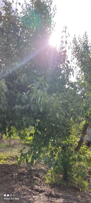 Продам участок 10 сотк "Соловьиная роща"