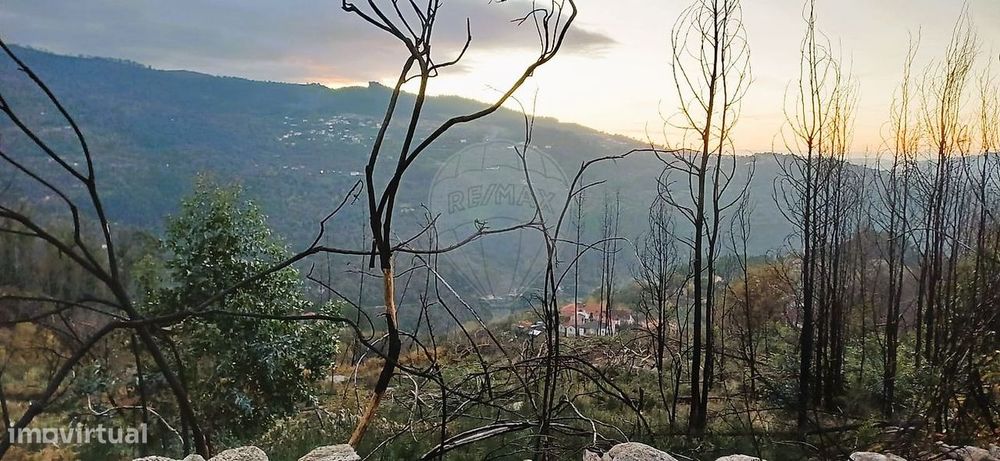 Terreno  para venda