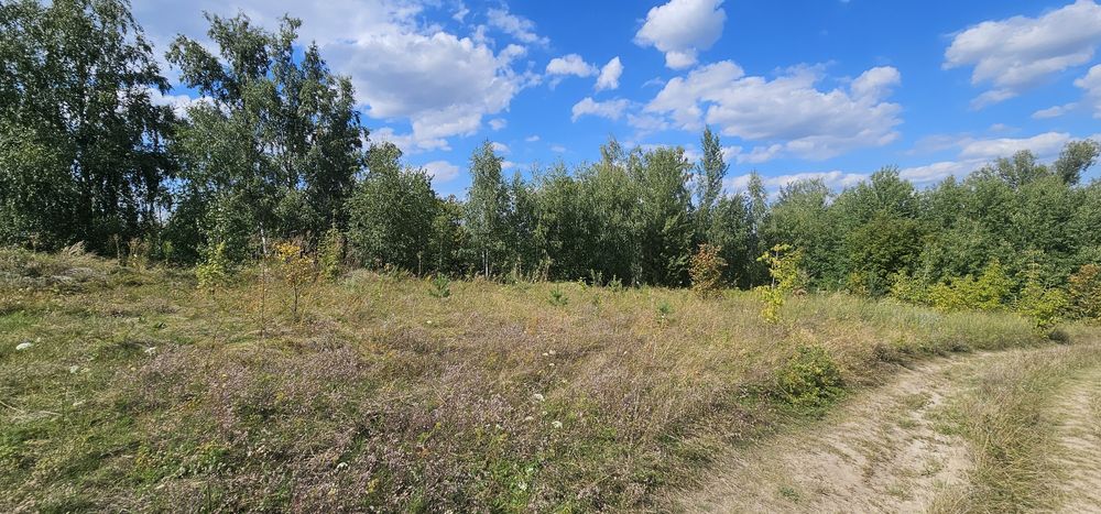 Інвестиція!!!земельна ділянка під житлову забудову 2,5га ,Рославичі
