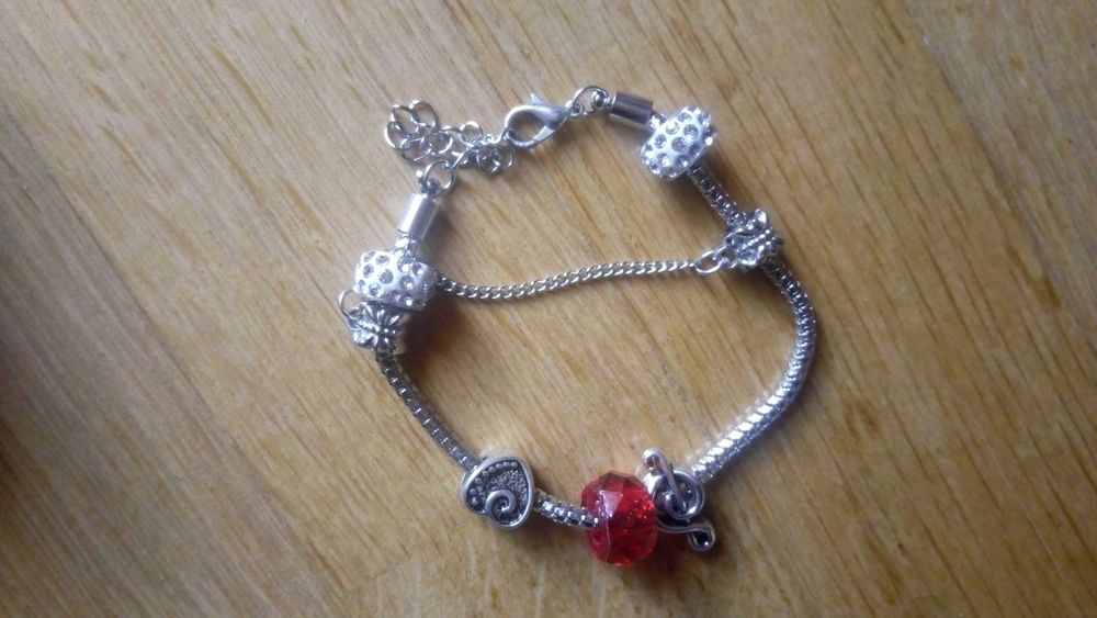 Várias acessórios / pulseiras