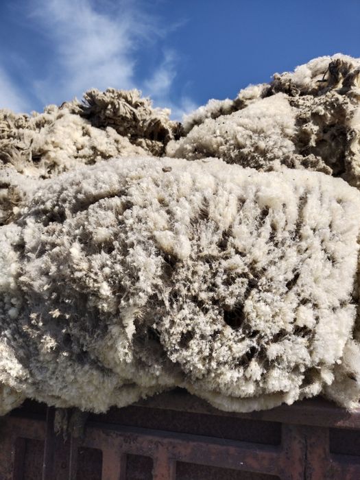 Шерсть овечьей меренос