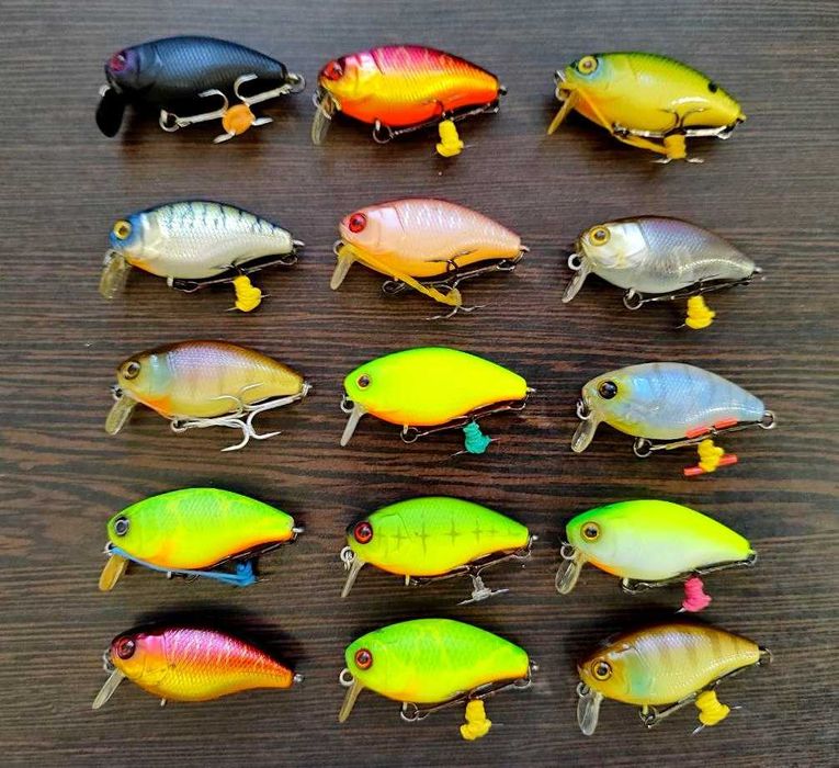 Мисс Пуссидің суреті