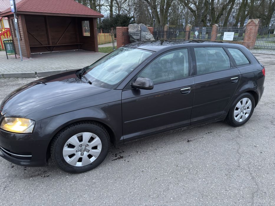 Audi A3 8P 2010r., diesel :105 KM