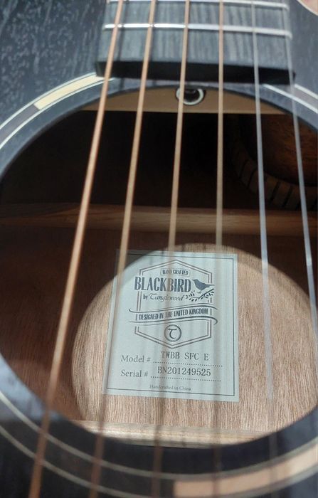 Guitarra Acústica Tanglewood TWBB SFC E Black Bird