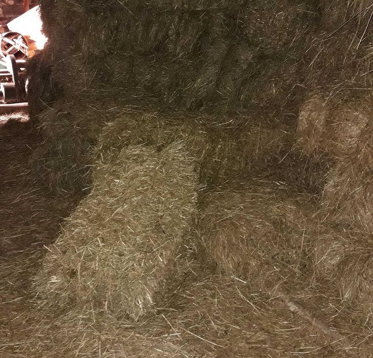 Sprzedam Kostki siana