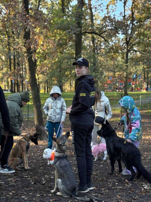 Групові заняття для собак майданчик