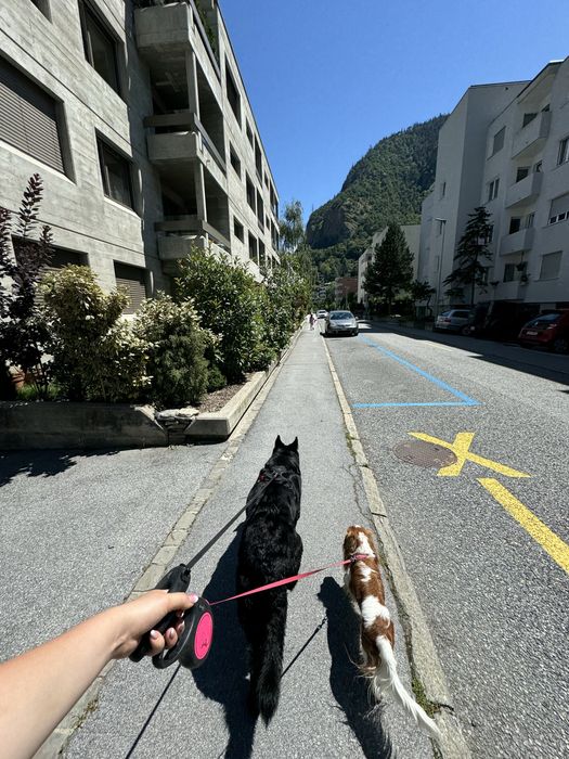 Petsitterka z sercem – opieka nad Twoim pupilem