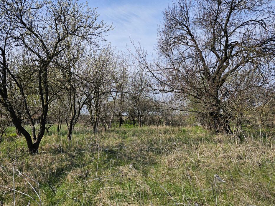 Продаж дачі, земельна ділянка площею 6.26 сотки, Обухівка. Ізумруд.