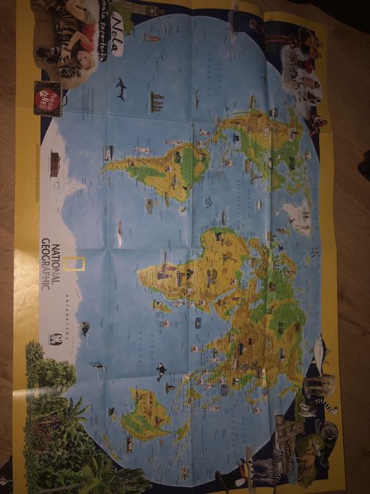 Seria Nela Mała Reporterka