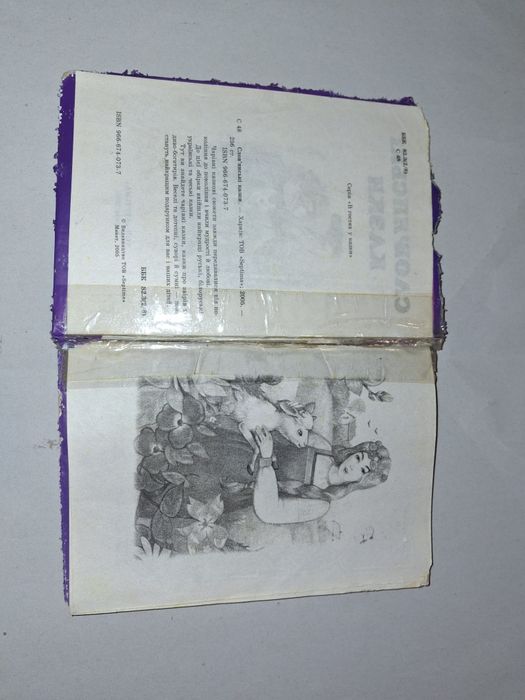 В гостях у казки Чарівна скрипка Безкоштовно