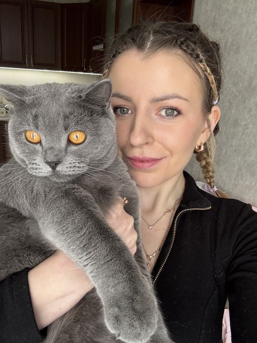 Грумінг котиків, стрижка котів, Ірпінь, тиха машинка