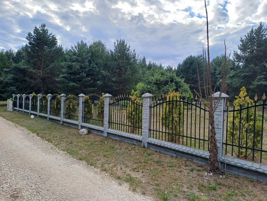 Zdjęcie 3