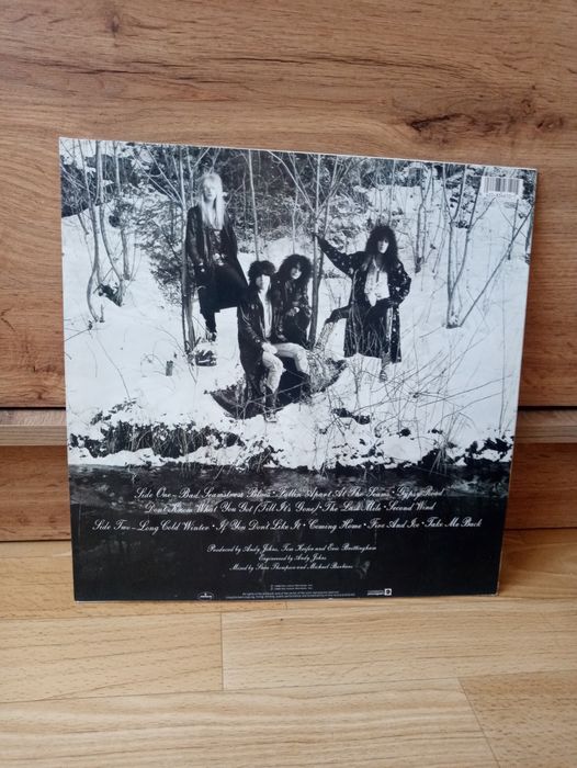 Cinderella-Long Cold Winter-LP-winyl,vinyl