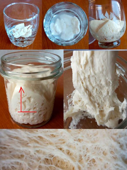 Закваска для хлеба/сдобы: сухие/живые: пшеничная, ржаная, Левито Мадре