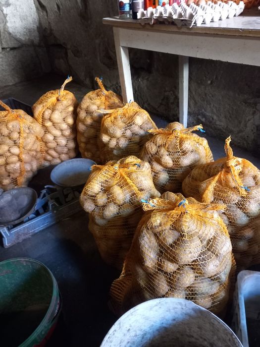 Ziemniaki SORAYA.