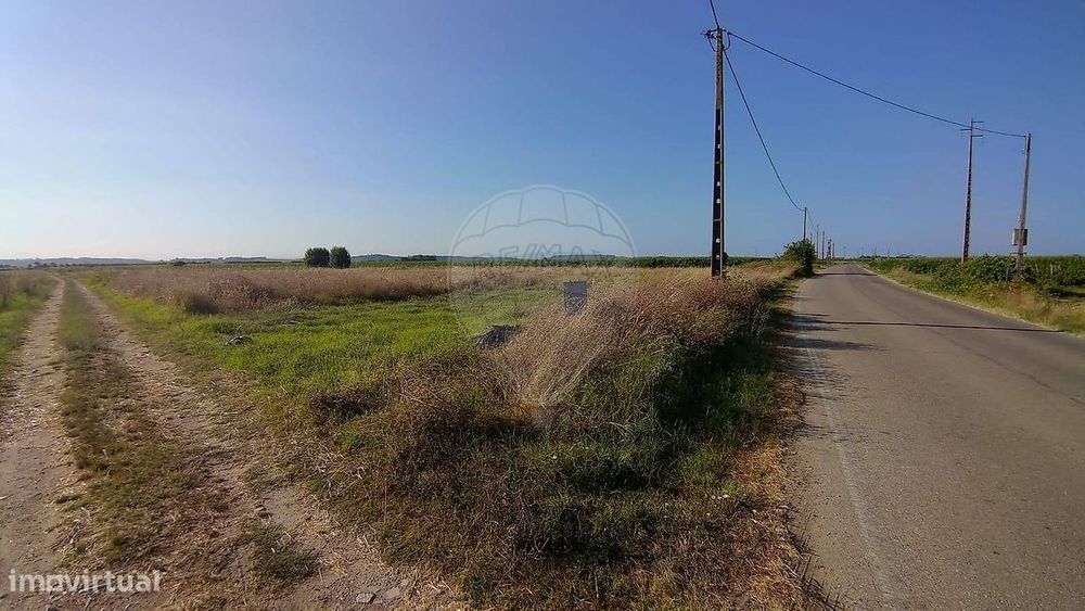 Terreno  para venda — Alpiarça, Santarém
