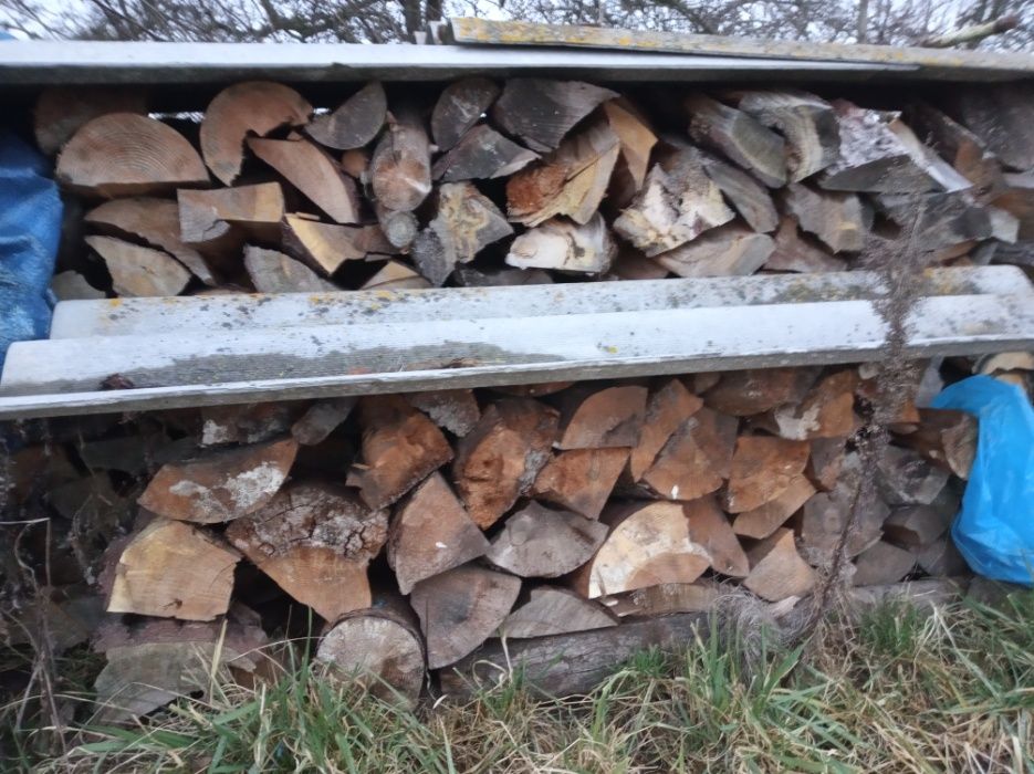 Drewno kominkowe grube