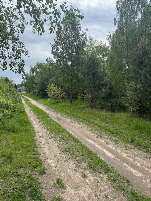 Sprzedam działkę budowlaną 1000 m² miejscowość Błędowo - Widok 3