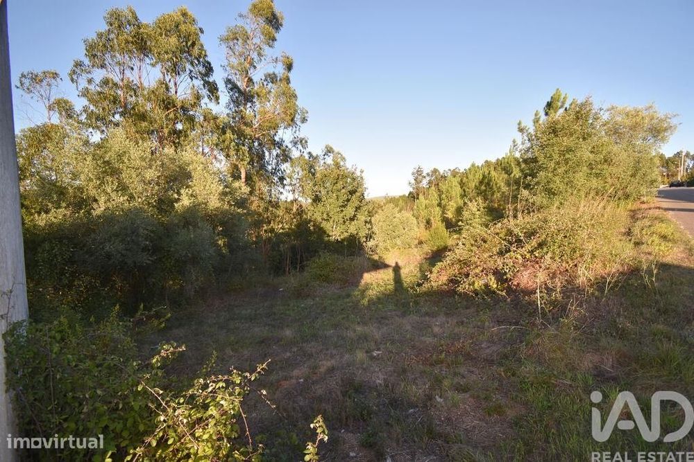 Terreno para construção em Pelariga