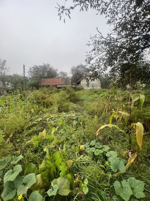 Будинок 16сот, поряд озеро Задорожнє та Baykal Resort