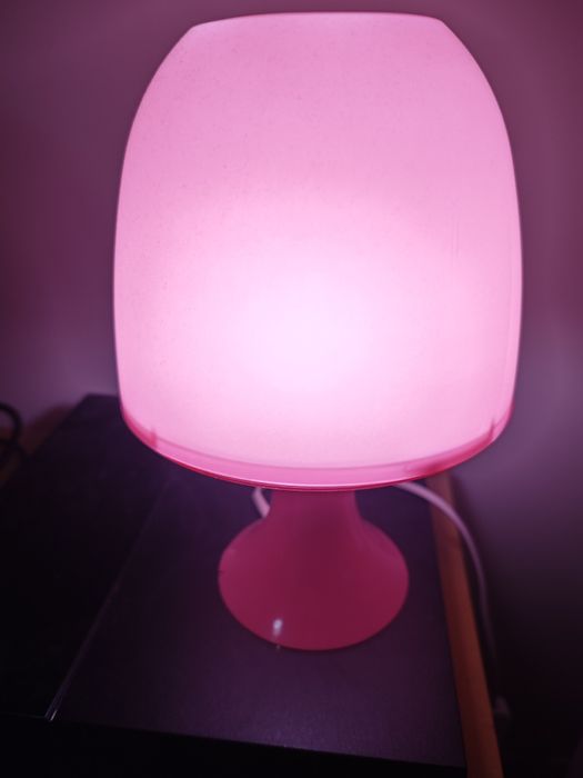 Túnel de gatos colorido