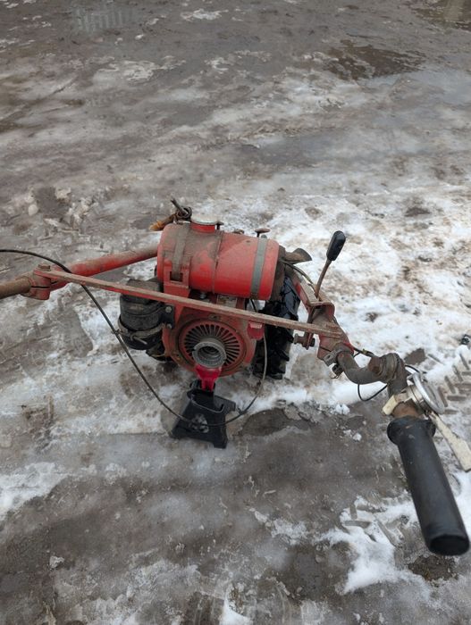 Ciągniczek Ogrodniczy MF70 Dzik Terra Vari Gutbrod