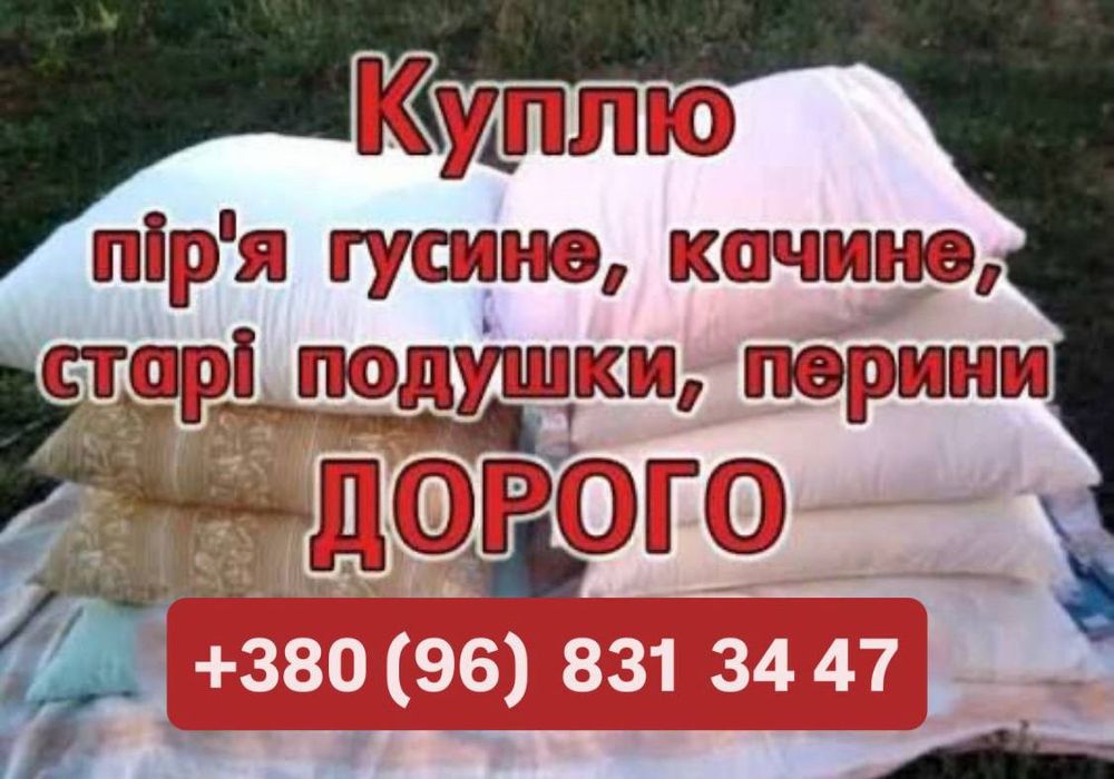 Купляємо пір'я (Львів)