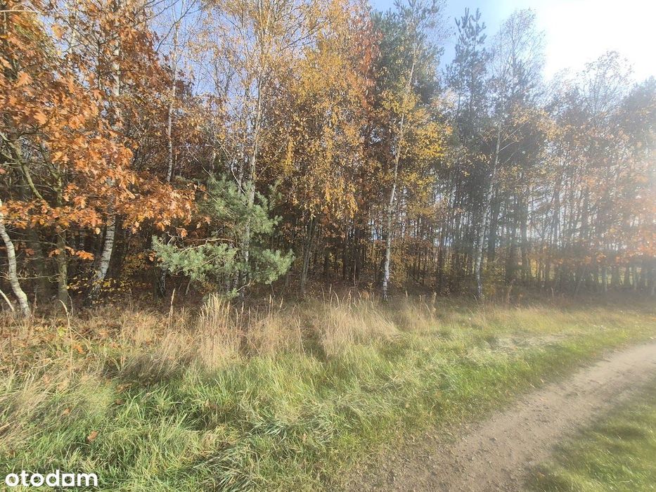 Na sprzedaż działka – Łochynia, gmina Mykanów – další