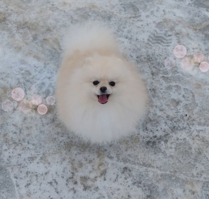 Хлопчик без недоліків