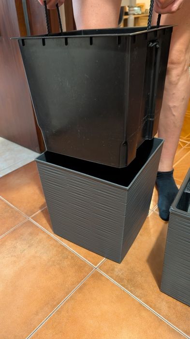 Vasos de plantas