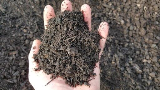 Kompost, ziemia ogrodowa, czarnoziem
