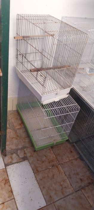 Gaiolas para canários