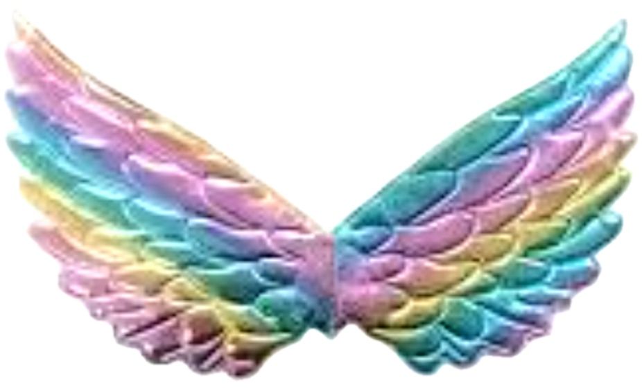 Śliczy zestaw na bal motylek , wróżka tęczowa