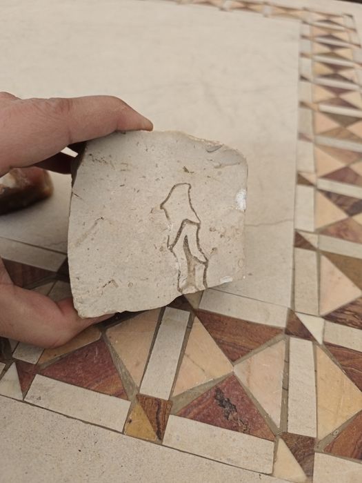 Fóssil em calcário e  quartzo